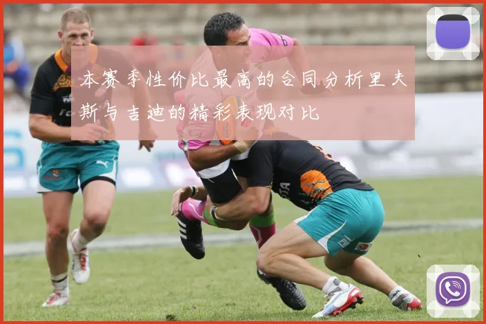 本赛季性价比最高的合同分析里夫斯与吉迪的精彩表现对比