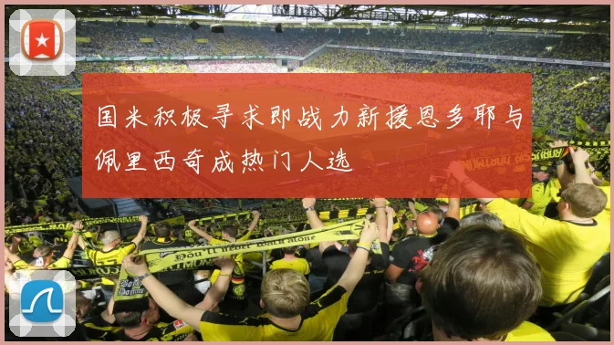 国米积极寻求即战力新援恩多耶与佩里西奇成热门人选