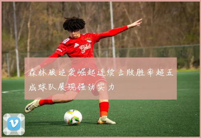 森林狼逆袭崛起连续击败胜率超五成球队展现强劲实力