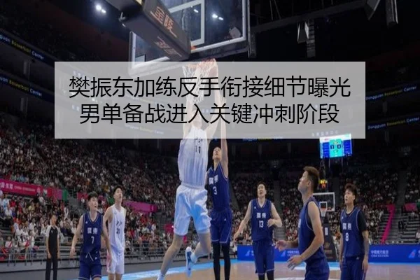 樊振东加练反手衔接细节曝光 男单备战进入关键冲刺阶段（kaiyun）
